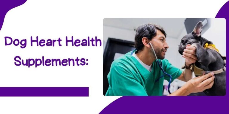 Dog Heart Health Supplements A Complete Guide for Students and Healthcare Professionals